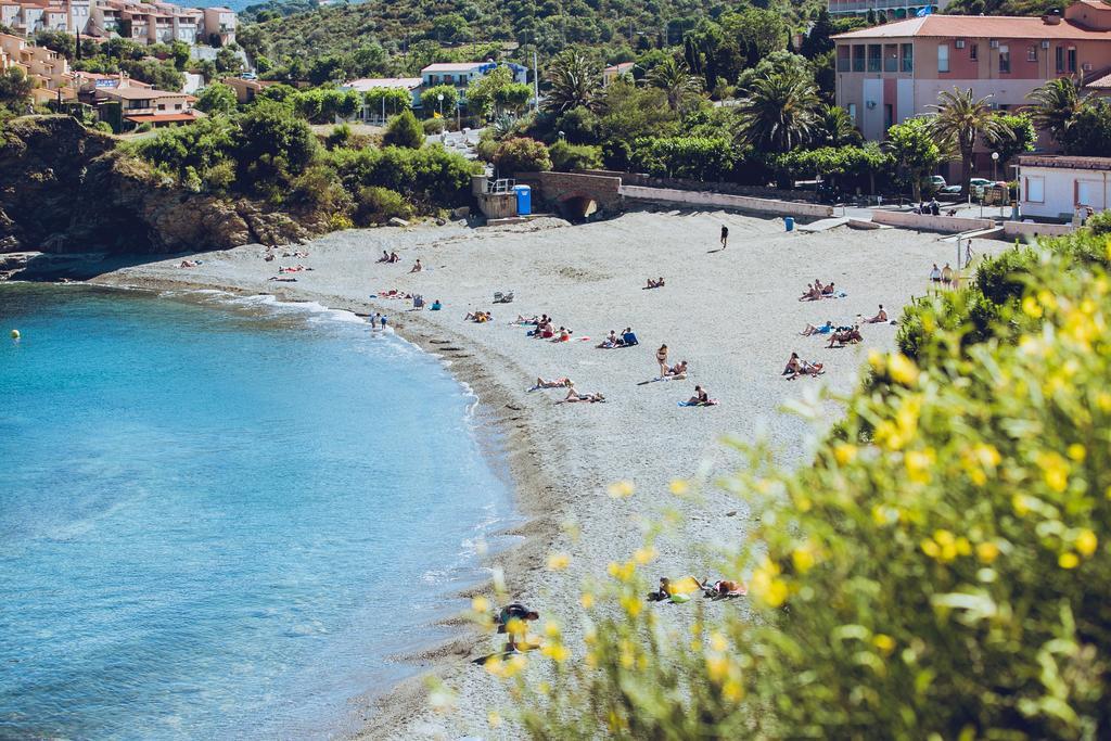 Regina'S Banyuls - Spatious Apartment Next To The Beach Εξωτερικό φωτογραφία